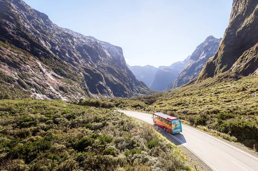 From Queenstown: Milford Sound Day Trip on Premium Coach - Is $170 good value?