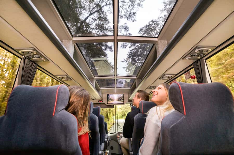 From Queenstown: Milford Sound Day Trip on Premium Coach - Starting at St Omer Wharf in Queenstown