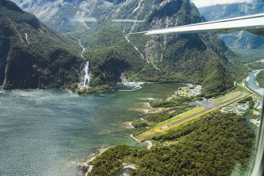 From Queenstown: Milford Sound Full-Day Trip by Plane & Boat - Seals, dolphins, and the chance of a penguin sighting