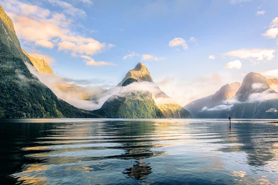 From Queenstown: Milford Sound Premium Day Tour and Cruise - Key points at a glance