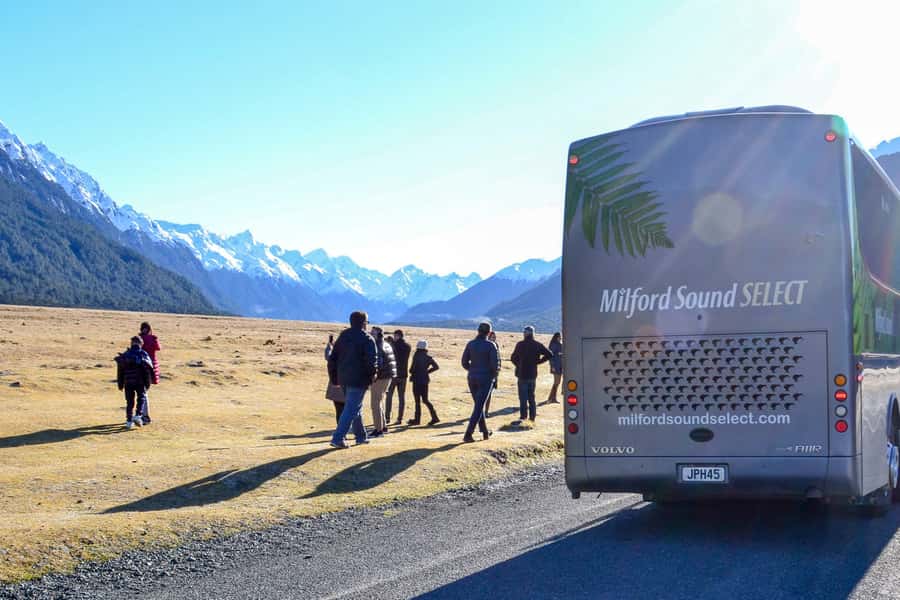 From Queenstown: Milford Sound Premium Day Tour and Cruise - The real cost of a Milford Sound day