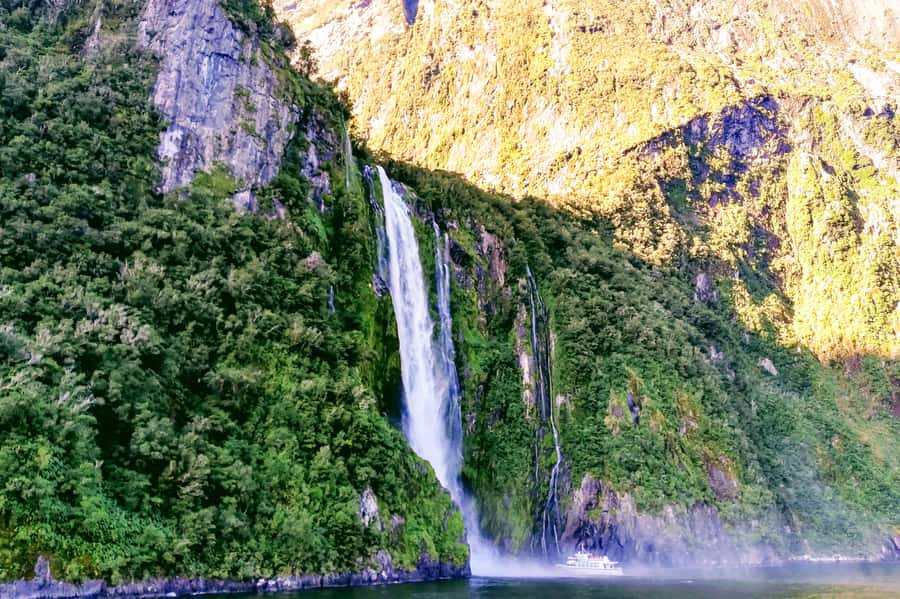 From Queenstown: Milford Sound Premium Day Tour and Cruise - Mirror Lakes and the rainforest boardwalk