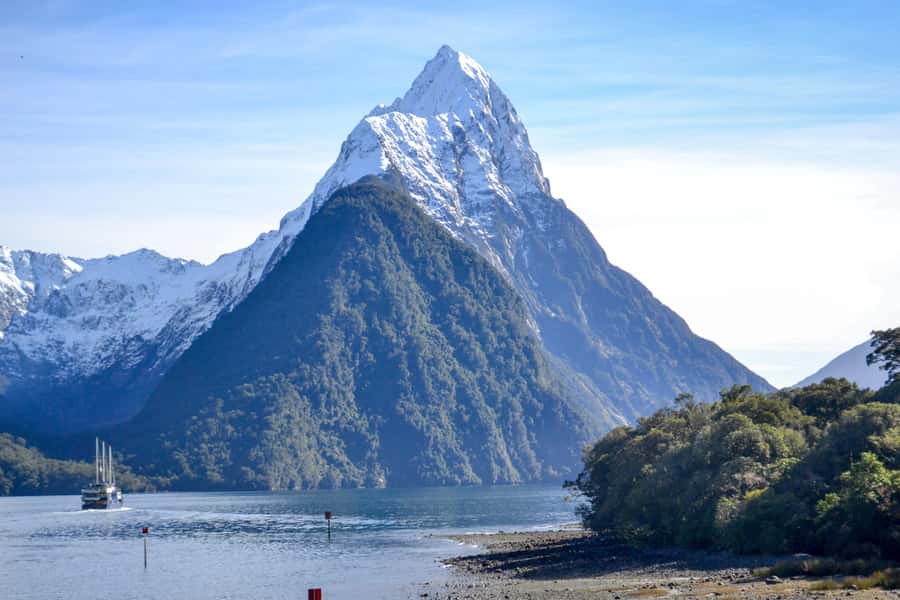 From Queenstown: Milford Sound Premium Day Tour and Cruise - Waterfalls, seals, and possible dolphins