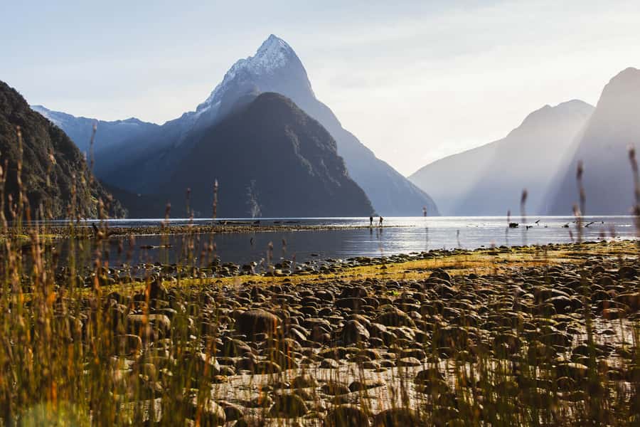 From Queenstown: Milford Sound Scenic Flight & Nature Tour - Is $328 Good Value?