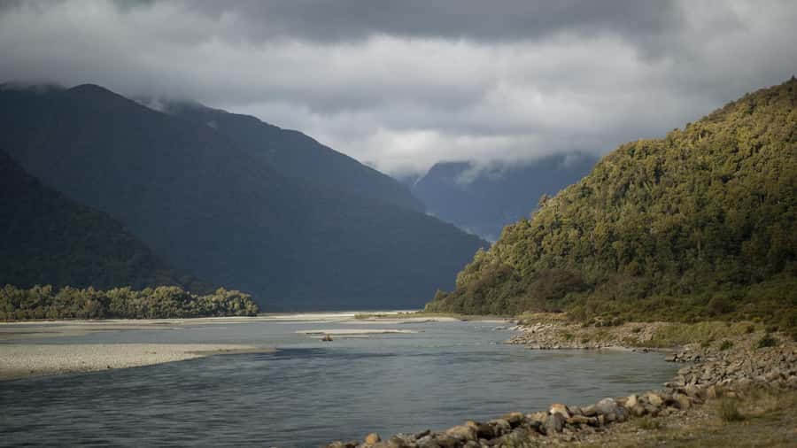 From Queenstown: Scenic One-Way Tour to Franz Josef - Haast Pass through beech forest and the Southern Alps