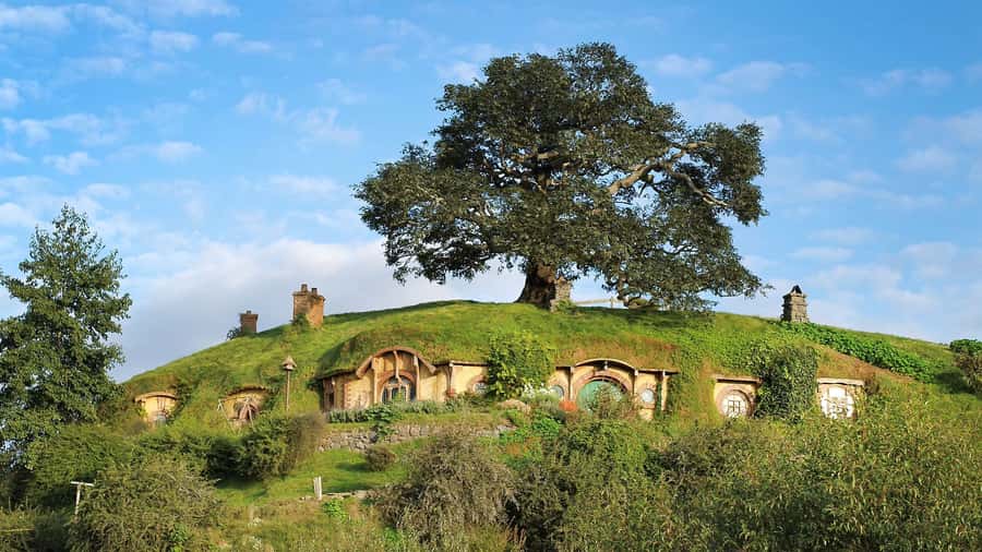 From Rotorua: Hobbiton Movie Set Tour with Festive Lunch - The Mill, bridge, Party Tree, and Green Dragon Inn