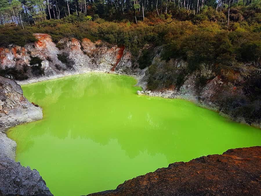 From Rotorua: Wai-O-Tapu, Waimangu and Te Puia Full-Day Tour - Te Puia: Māori culture, craft, and Pohutu Geyser