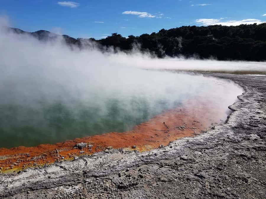 From Rotorua: Wai O Tapu & Waimangu Eco Thermal Morning Tour - Wai-O-Tapu: colour, steam, and boiling mud