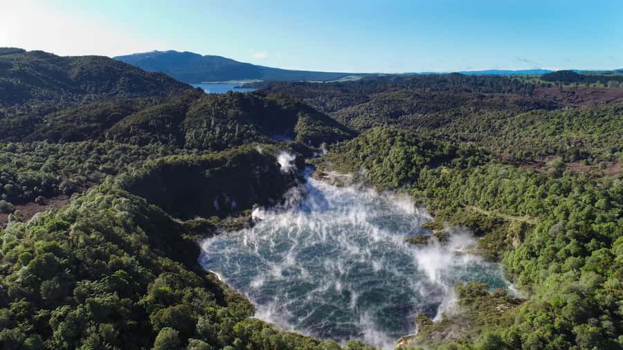 From Rotorua: Wai O Tapu & Waimangu Eco Thermal Morning Tour - A 30-minute cafe break at midday