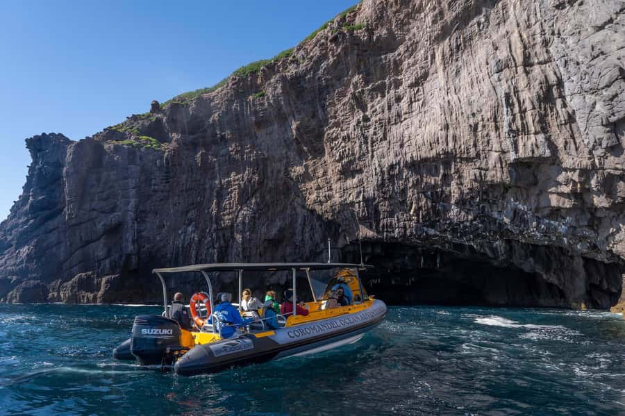 From Tairua: 2 Hour Cathedral Cove Tour with Local Guide - The marine reserve and the chance to swim
