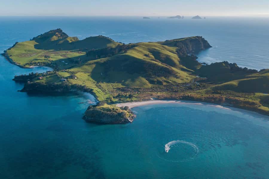 From Tairua: 2 Hour Cathedral Cove Tour with Local Guide - Who will enjoy this two-hour cruise?