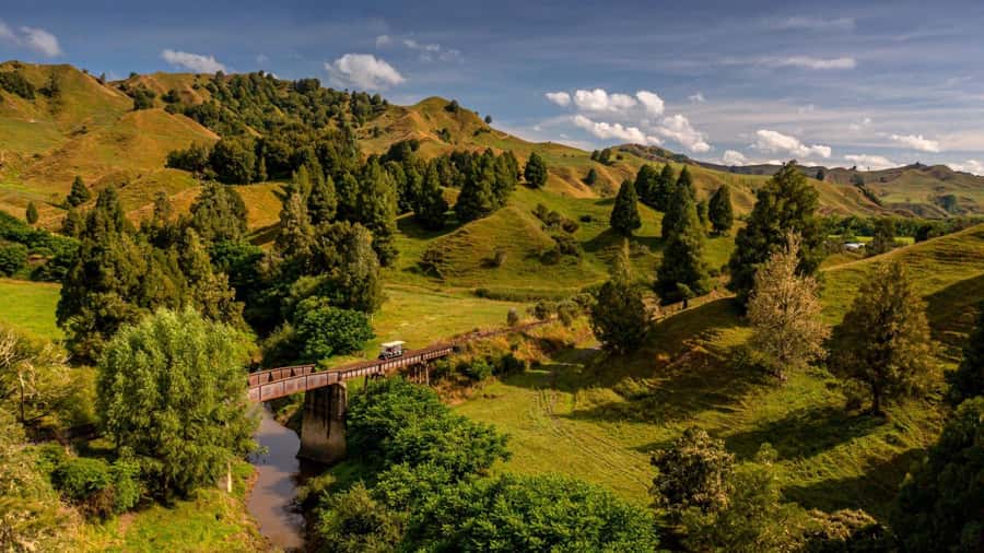 From Taumarunui: The Republic Rail Cart Adventure - Why This Forgotten Railway Makes a Great Day Out