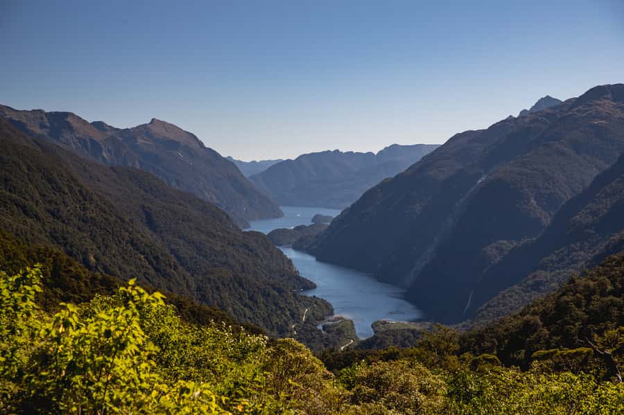 From Te Anau: Doubtful Sound Coach & Cruise - Key things to know before you go