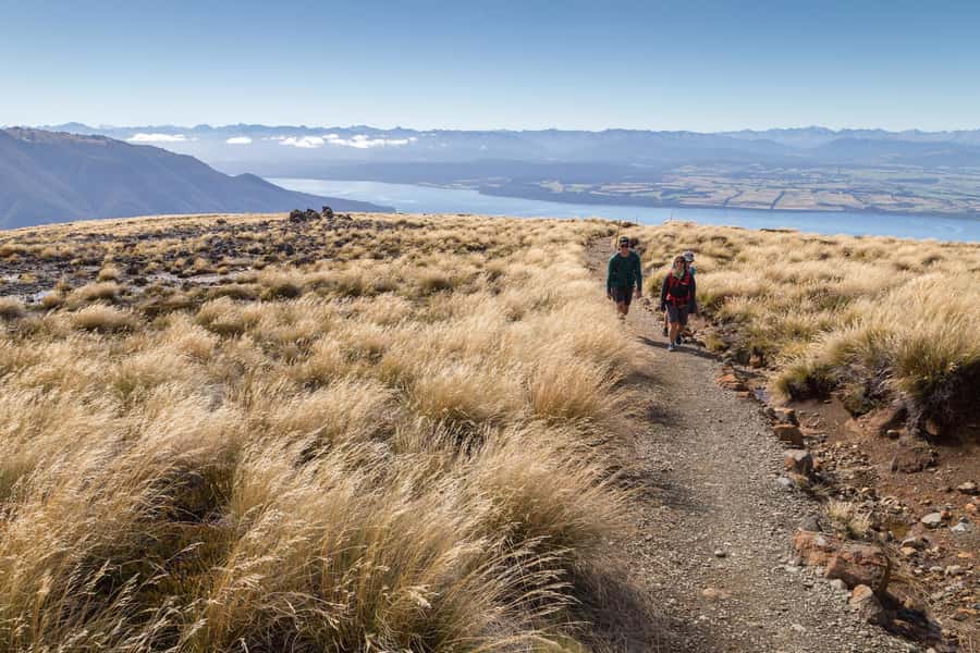 From Te Anau: Full Day Kepler Track Guided Heli-Hike - Six Details That Shape the Day