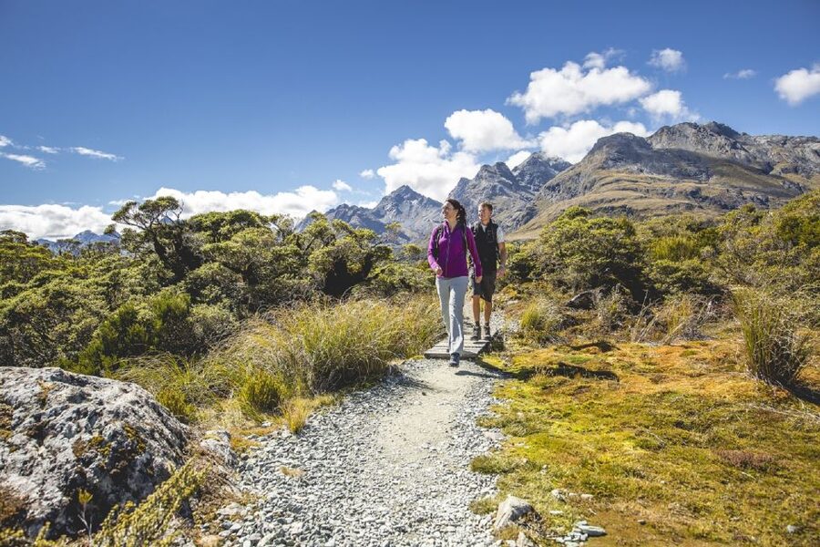 From Te Anau: Milford Sound Coach, Cruise, and Walks - Who should book this Milford Sound day trip?
