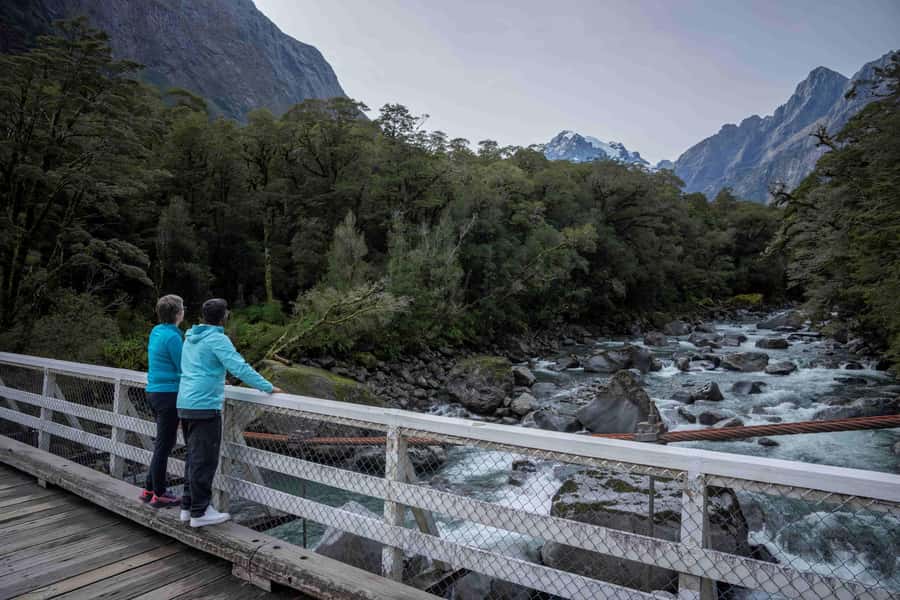 From Te Anau: Milford Sound Coach, Cruise, and Walks - Why Te Anau is the right starting point