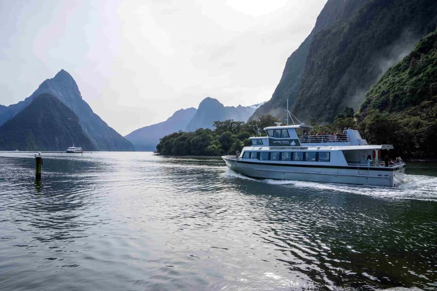 From Te Anau: Milford Sound Coach, Cruise, and Walks - Hollyford Valley, Lake Gunn, and the short walks