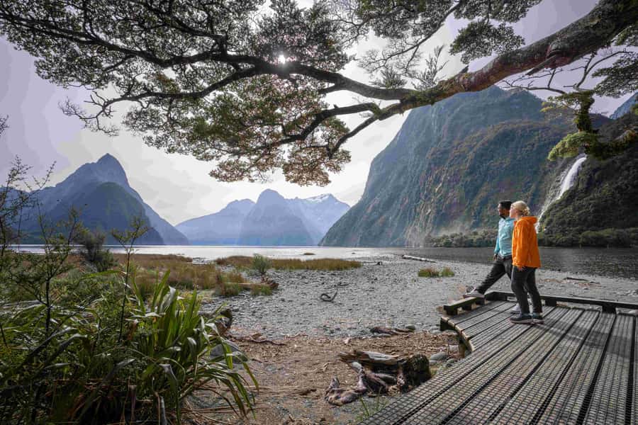 From Te Anau: Milford Sound Coach, Cruise, and Walks - The packed lunch is simple and useful