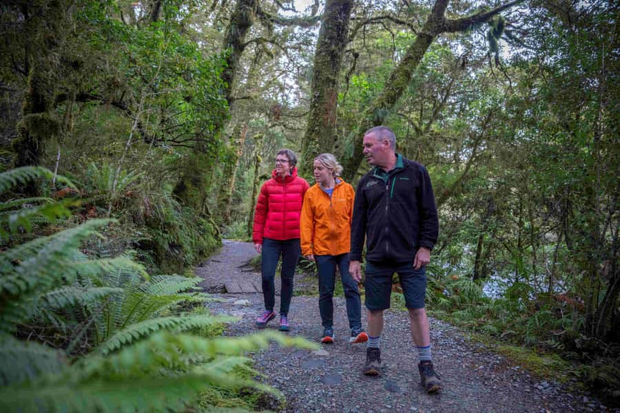 From Te Anau: Milford Sound Coach, Cruise, and Walks - What the guide adds to the day