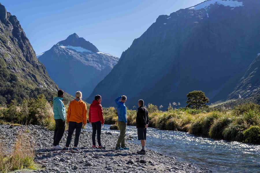 From Te Anau: Milford Sound Coach, Cruise, and Walks - A small van makes the Milford Road better