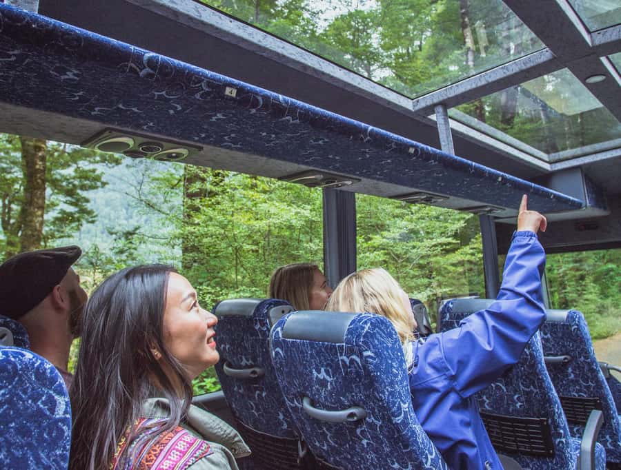 From Te Anau: Milford Sound Coach Tour and Cruise - Key points to know before booking