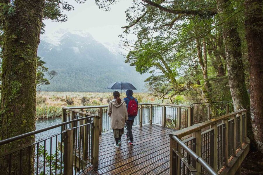 From Te Anau: Milford Sound Coach Tour and Cruise - Small details that make the day easier