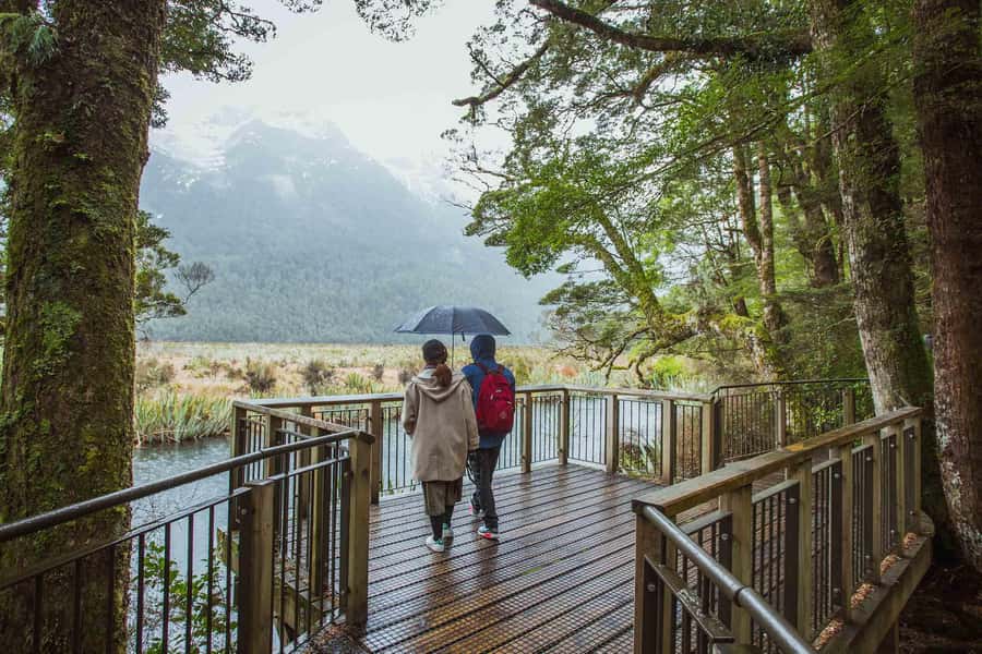 From Te Anau: Milford Sound Coach Tour and Cruise - Arriving at Piopiotahi, also called Milford Sound