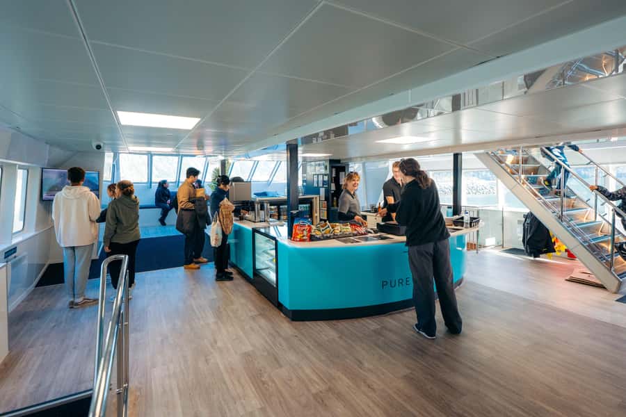 From Te Anau: Milford Sound Coach Tour and Cruise - Waterfalls, rainforest, and the chance of wildlife