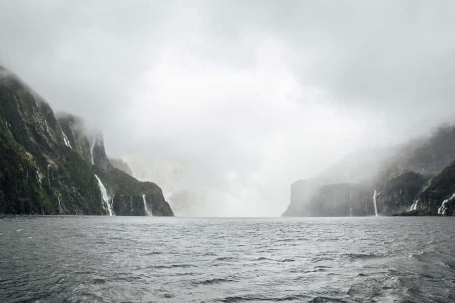From Te Anau: Milford Sound Coach Tour and Cruise - What you eat and how the boat works