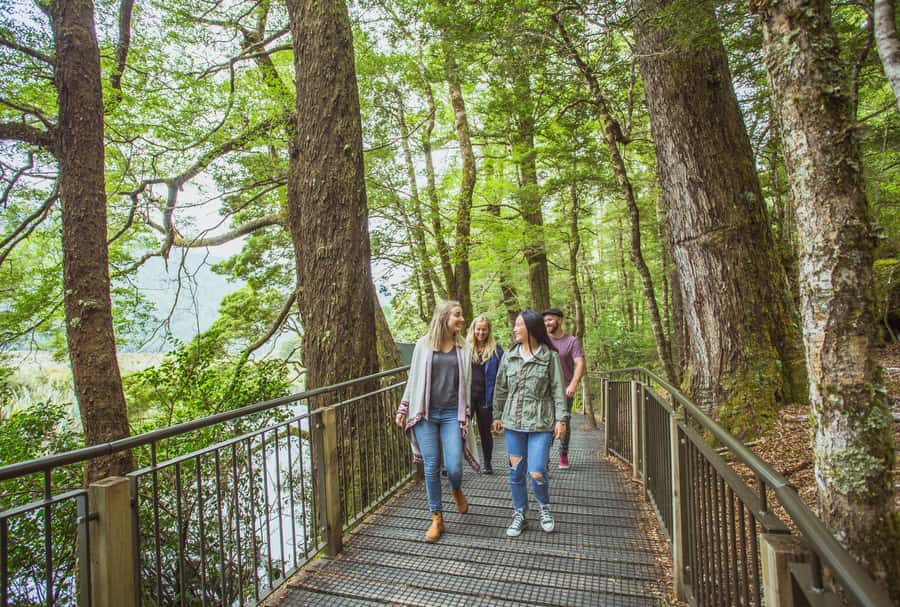 From Te Anau: Milford Sound Coach Tour and Cruise - Is $110 good value?