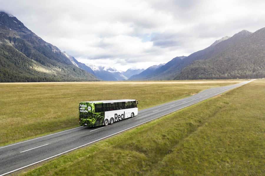 From Te Anau: Milford Sound Cruise and Coach Day Trip - Key points to know before booking