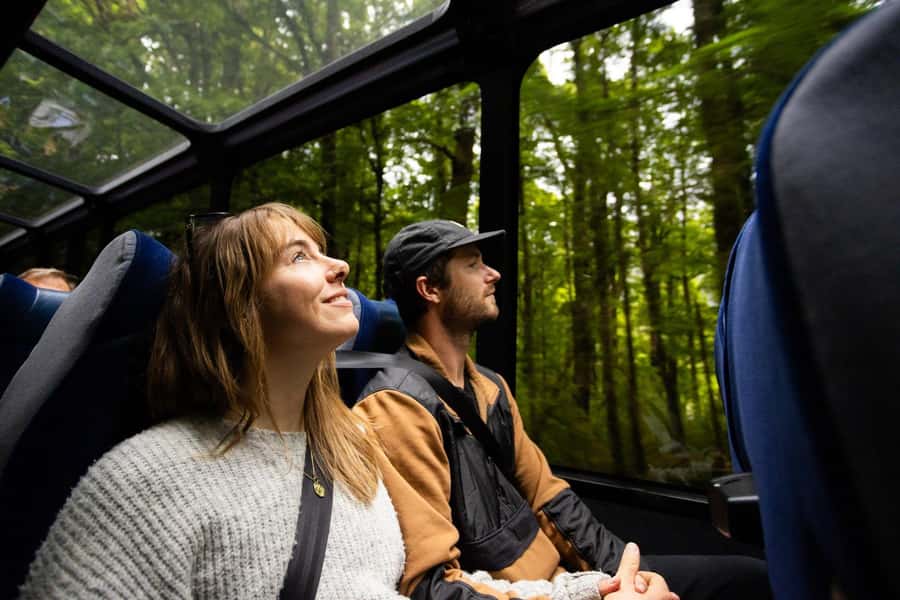 From Te Anau: Milford Sound Cruise and Coach Day Trip - Practical details before you go