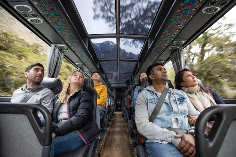 From Te Anau: Milford Sound Cruise & Glass-Roof Coach Tour - The 1-hour-45-minute Milford Sound cruise