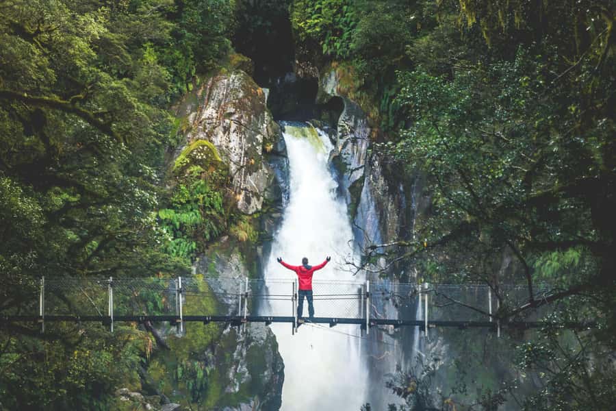 From Te Anau: Milford Sound Cruise & Track Walk by Coach - Why this Te Anau day trip works