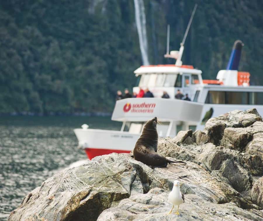 From Te Anau: Milford Sound Extended Cruise and Coach Tour - Why this Te Anau day trip works