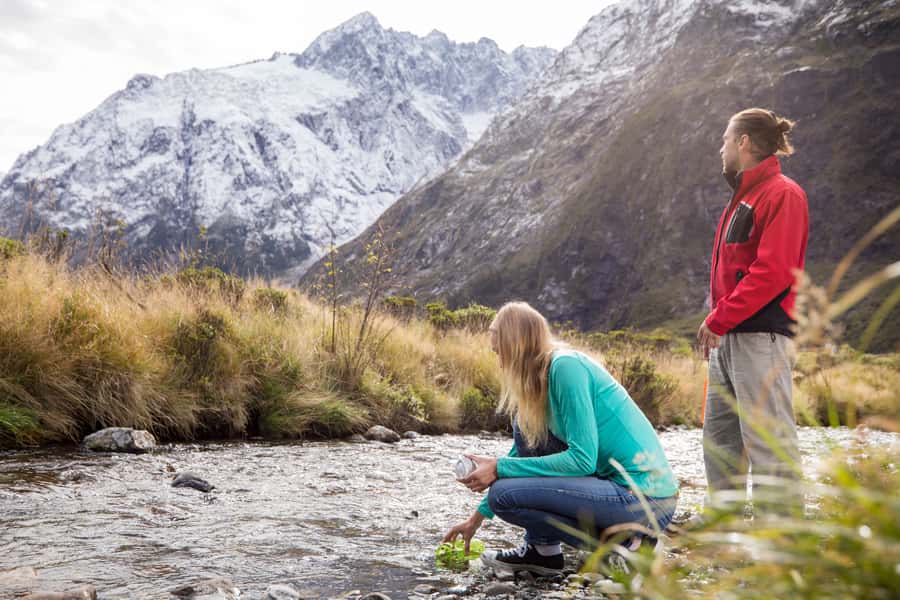 From Te Anau: Milford Sound Premium Bus Tour and Cruise - What the $140 price buys you