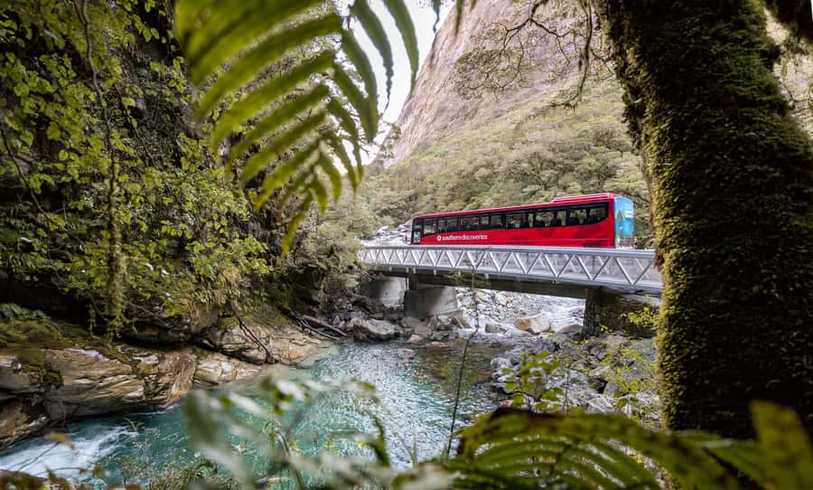 From Te Anau: Milford Sound Premium Bus Tour and Cruise - Lunch options and onboard comfort