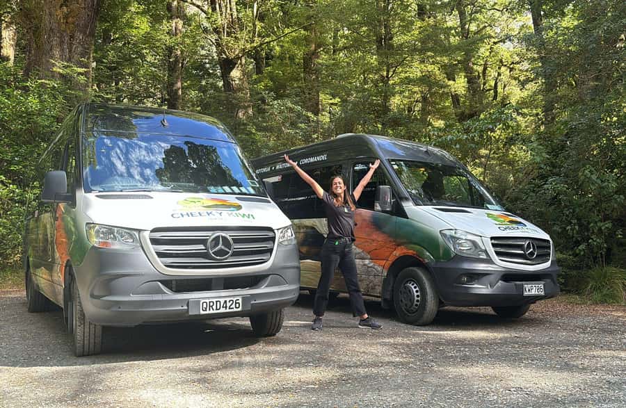 From Te Anau: Milford Sound Small-Group Tour Including Lunch - Mirror Lakes offer a quick, calm pause