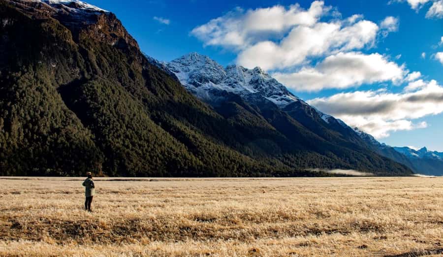 From Te Anau: Milford Sound Small-Group Tour Including Lunch - The Milford Sound cruise is the day’s centerpiece