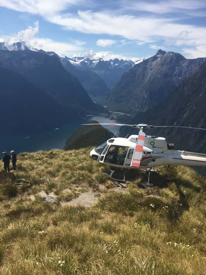 From Te Anau: Scenic Flight to Doubtful and Milford Sound - Who will enjoy this most?
