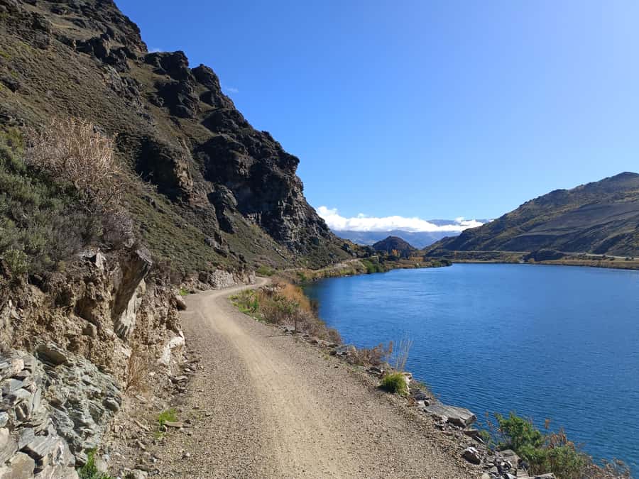 From Wanaka - Bike the Dunstan Trail with shuttle return - A break at Carrick Winery