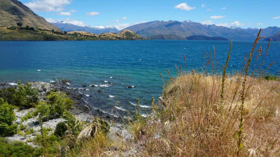 From Wanaka: Ruby Island 1-Hour Cruise and Photo Walk - Key points to know before you book