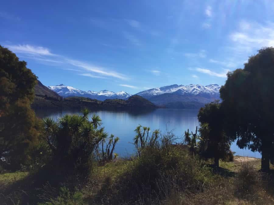 From Wanaka: Ruby Island 1-Hour Cruise and Photo Walk - Finding the boat near the Old Town Jetty