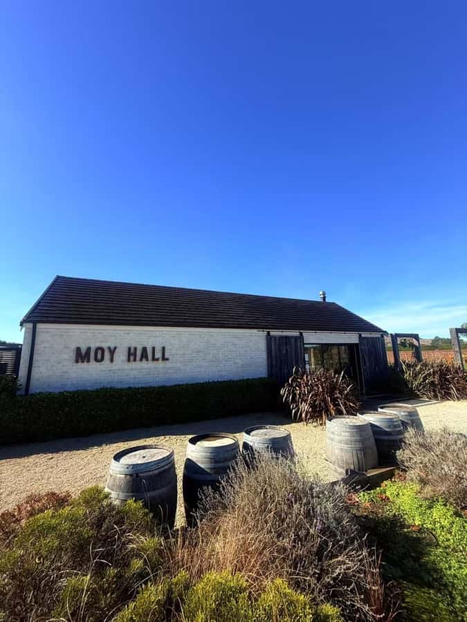 From Wellington: Half-Day Foodie Tour of the Wairarapa - Why this five-hour trip works from Wellington