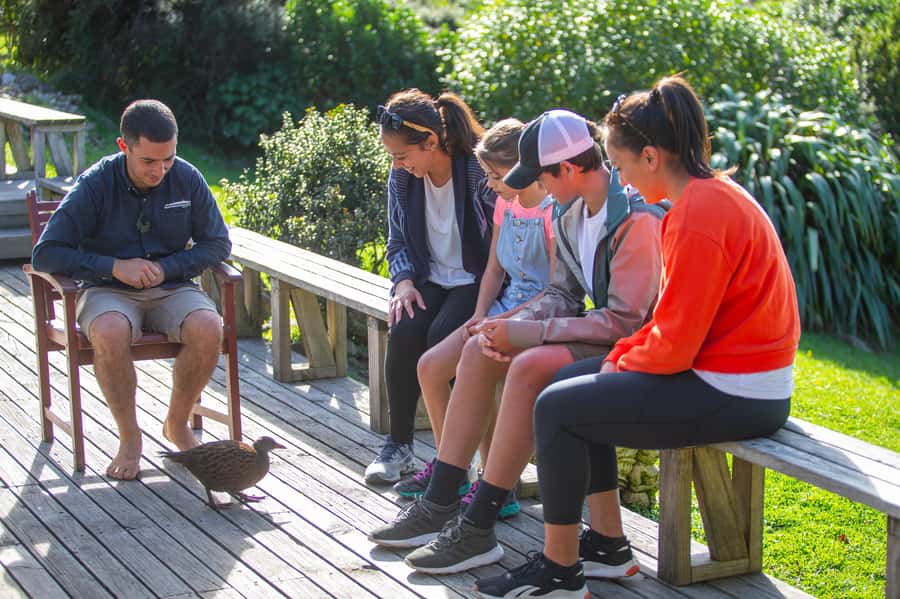 From Wellington: Kapiti Island Classic Guided Day Tour - Key points at a glance