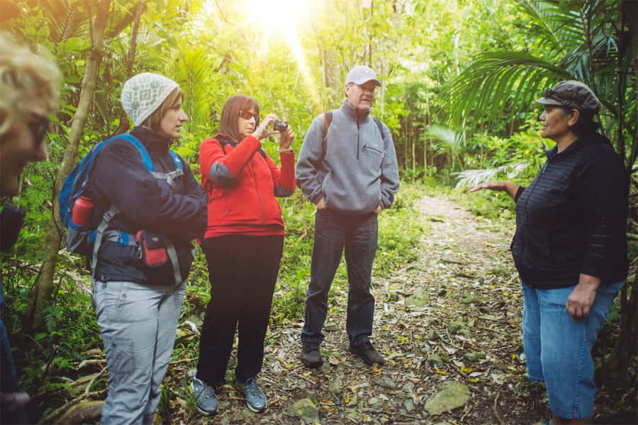 From Wellington: Kapiti Island Classic Guided Day Tour - Why Kapiti Island makes a strong Wellington day trip
