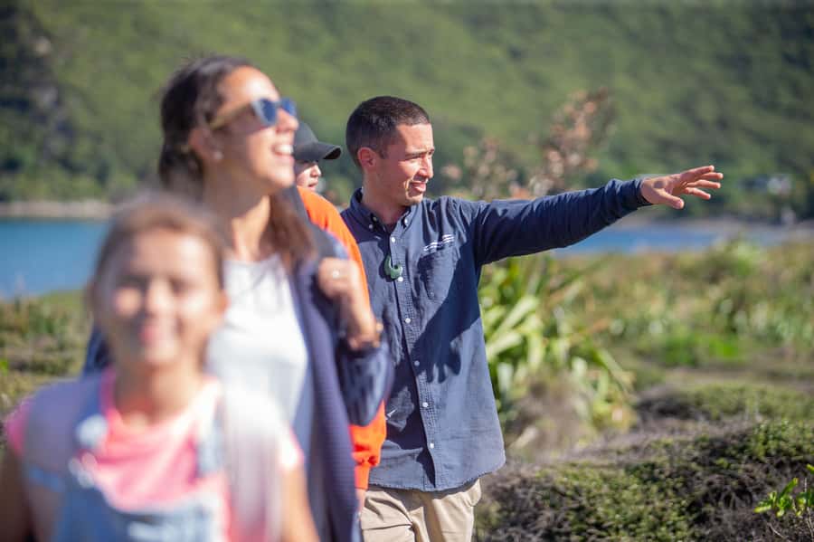 From Wellington: Kapiti Island Classic Guided Day Tour - Crossing to Waiorua Bay