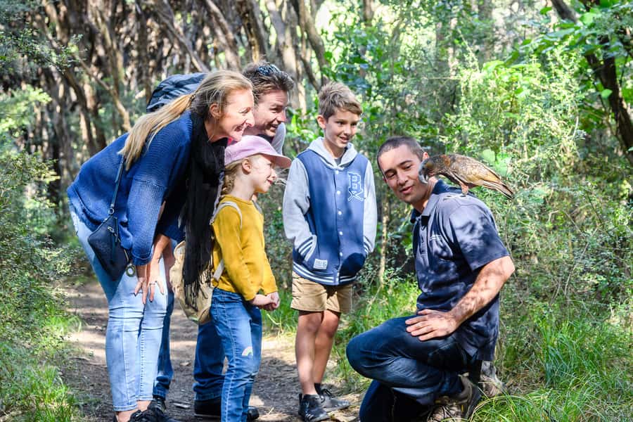 From Wellington: Kapiti Island Classic Guided Day Tour - A guided walk with Tim and the island story