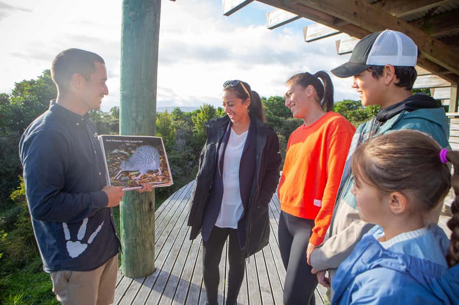 From Wellington: Kapiti Island Classic Guided Day Tour - What the $298 price really covers