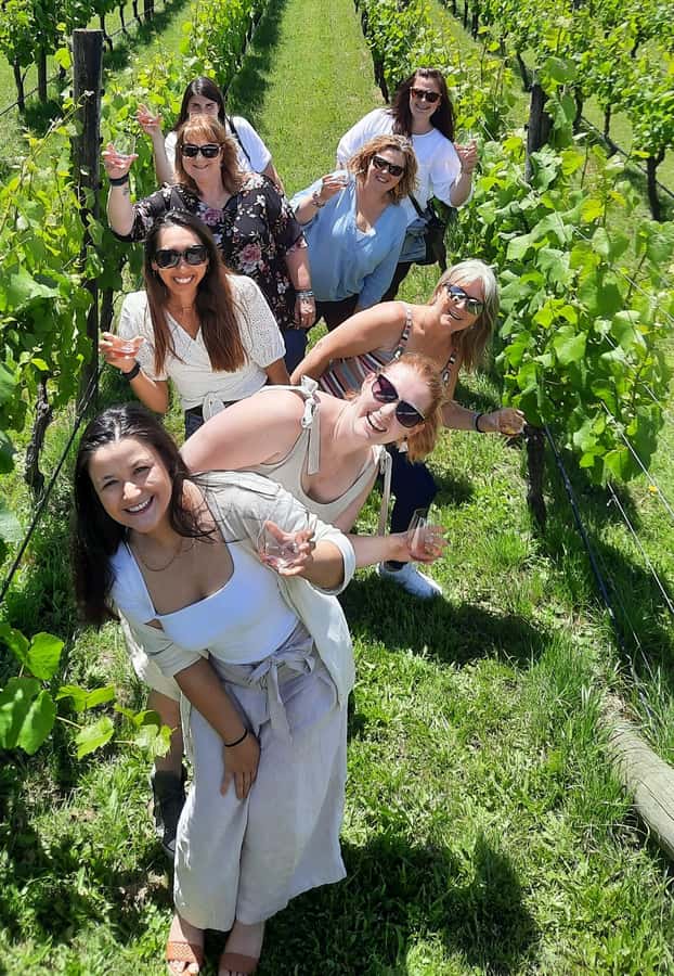 From Wellington: Martinborough Winery Tour - Key points at a glance
